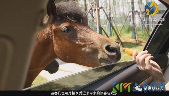 六合金牛湖
