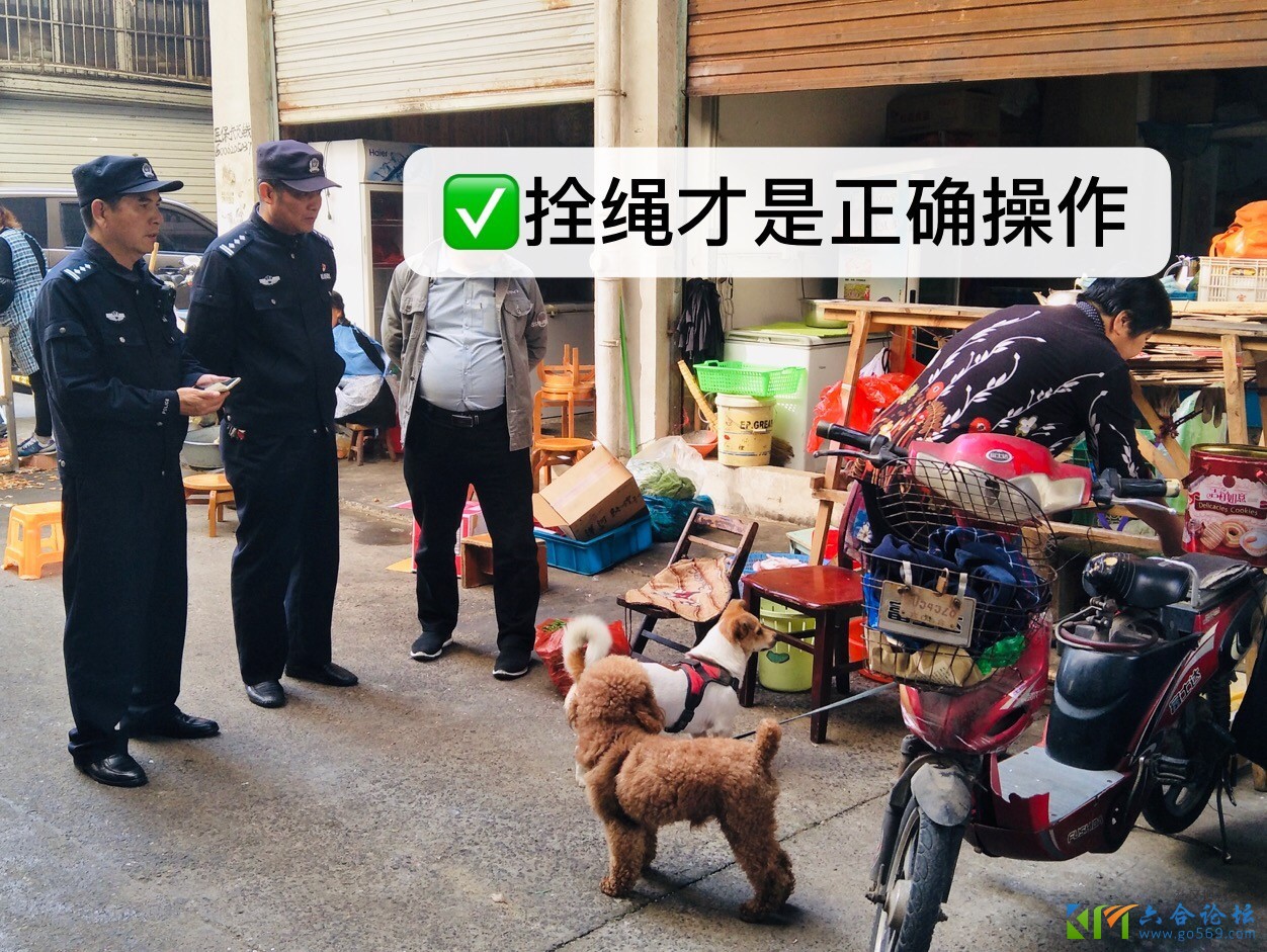 六合警方